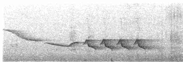 Troglodyte coraya - ML610934071