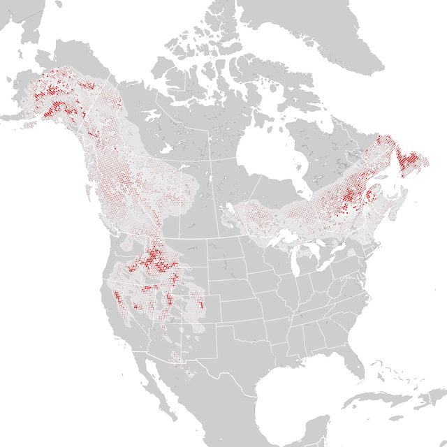 Mapa de Tendências