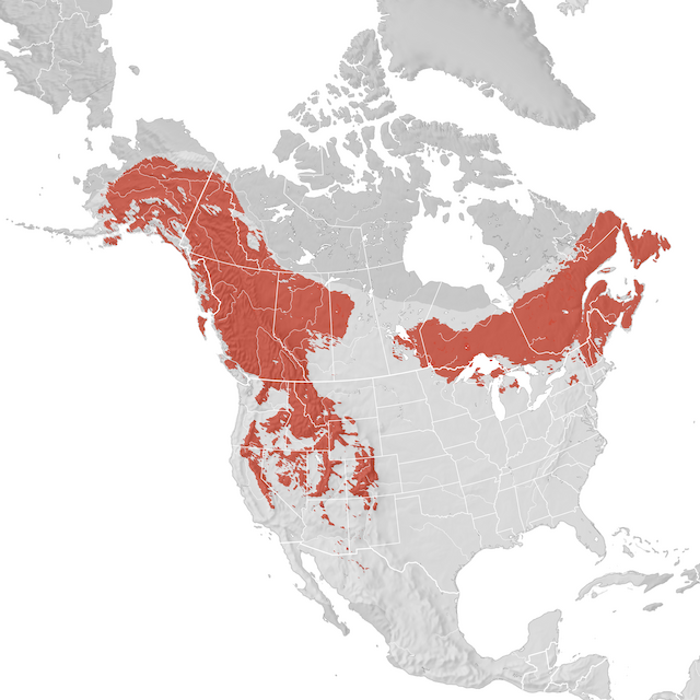 Carte de distribution