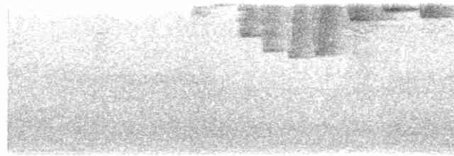 Gray-headed Tanager - ML610939359