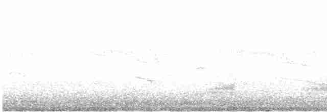 ברווז עקוד-מקור מזרחי - ML610941145