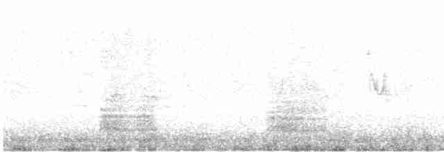 Малая белая цапля - ML610941149