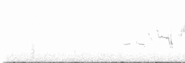 Белобровая овсянка (leucophrys) - ML610943309