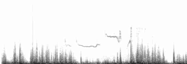 hvitkronespurv (leucophrys) - ML610943328