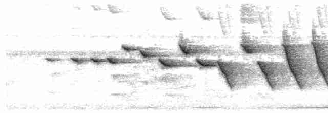 Flavescent Warbler - ML610947010