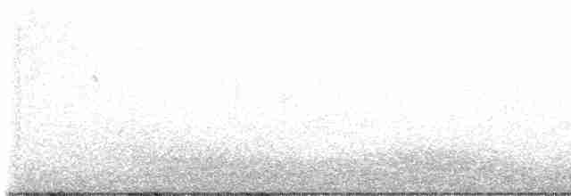 Plectrophane lapon - ML610951007