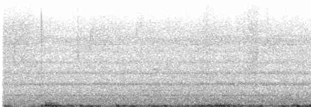 Slender-billed Oriole - ML610952601