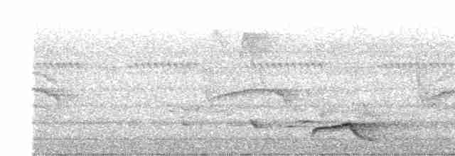 Slender-billed Oriole - ML610952609