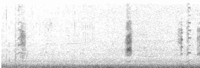 חרטומית סיבירית - ML610954343