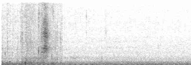 חרטומית סיבירית - ML610954344