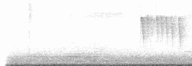 Gri Başlı Kanarya Sinekkapanı - ML610955934