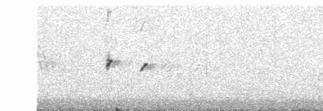 ורדית ארוכת-זנב - ML610959978