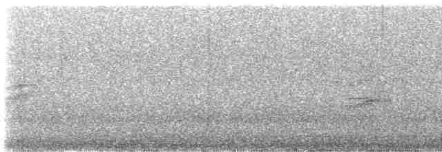 Дрізд-короткодзьоб плямистоволий - ML610977178