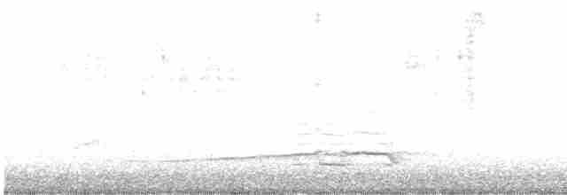 Gaviota de Bering - ML610978551