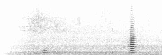 Cisne Trompetero - ML610978557