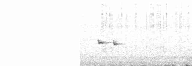 Long-tailed Rosefinch (Siberian) - ML610994039