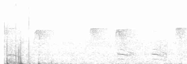 Black-crowned Antshrike - ML610996120