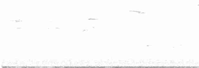 Kara Kanatlı Piranga - ML610996985