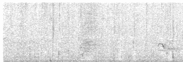 Tinamou à grands sourcils - ML610999259