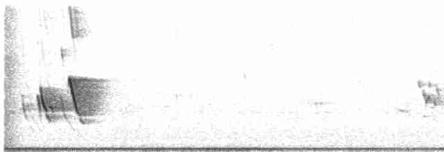 Büyük Mor Kırlangıç - ML611007256