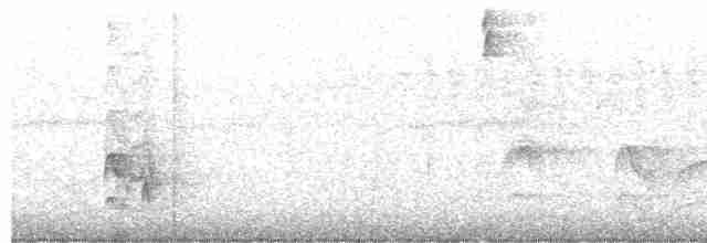Короткохохлый миарх - ML611013563