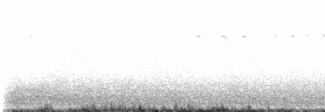 Black-throated Sparrow - ML611014362