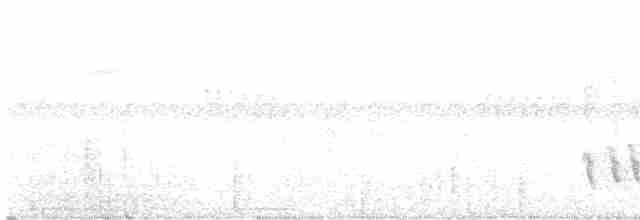 Тиранчик-довгохвіст рудокрилий - ML611016960