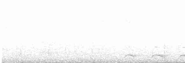 Lacivert Kuyruklu Trogon - ML611017035