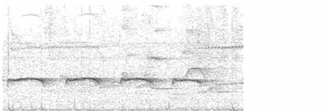 Tufted Antshrike - ML611019176