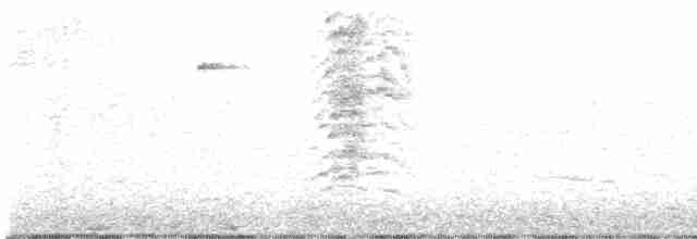 Пересмішник сірий - ML611021736