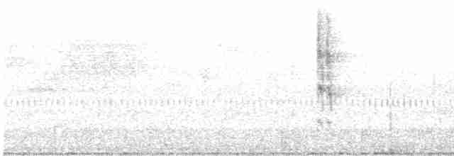 střízlík kanadský - ML611026468