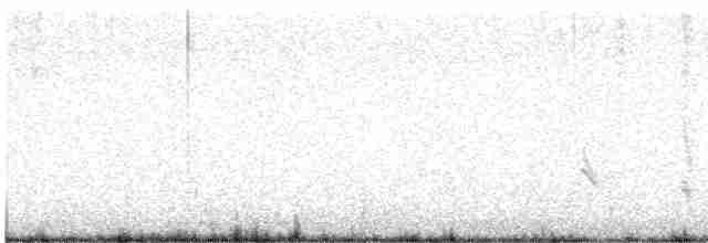 Batılı Mavi Ardıç - ML611032004