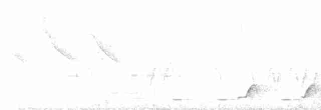 Красногрудый гладиатор [группа quadricolor] - ML611033709