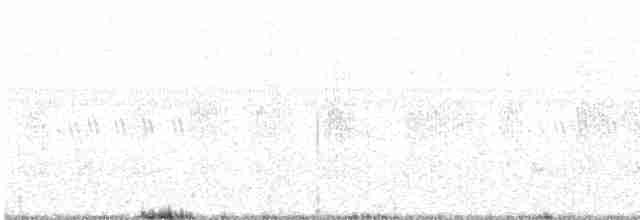 Common Babbler - ML611034609