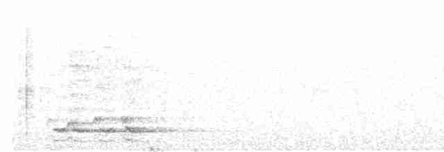 Kara Kasapkuşu - ML611035699