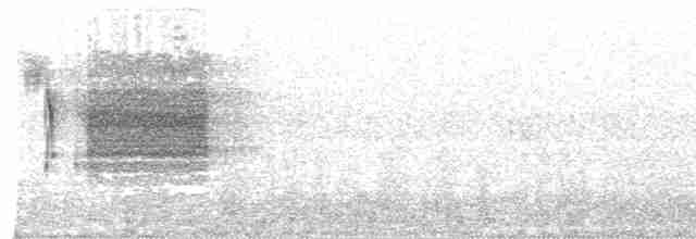Weißschenkelstärling - ML611045440