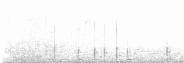 Striped Woodpecker - ML611051775