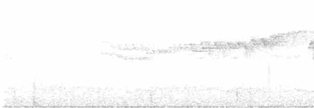 Коронник смугастоголовий - ML611055244