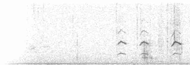Chaparralgrasmücke - ML611056551