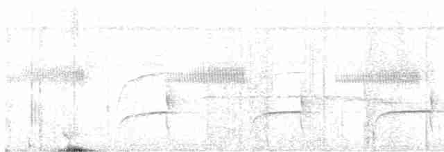 Синелобая якамара - ML611058356