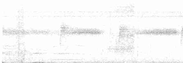 Tinamou à calotte noire - ML611058666