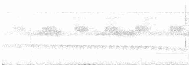 Tinamou à calotte noire - ML611058812