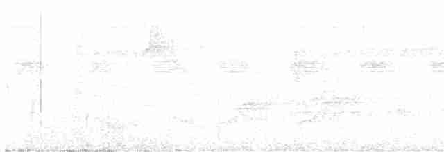 Braunscheitel-Ameisenvogel - ML611059075