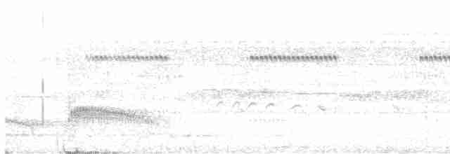 Gelbbrust-Ameisenschnäpper - ML611059217