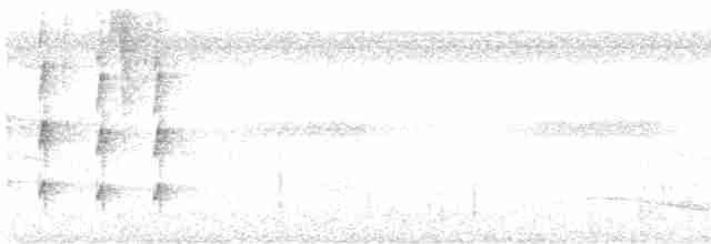 Длиннохохлая чубатка - ML611061312