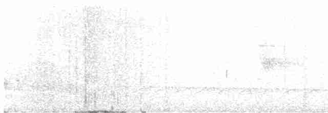 Gelbbrust-Ameisenschnäpper - ML611061444