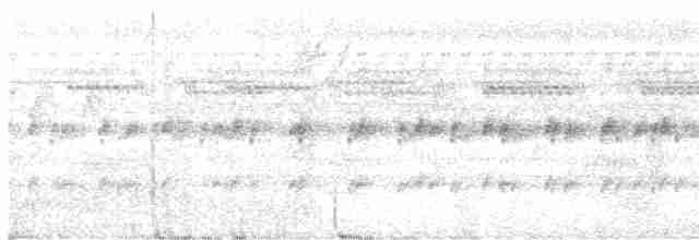Cinereous Tinamou - ML611062774