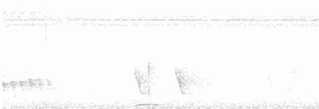Weißkehl-Ameisenschlüpfer - ML611065142