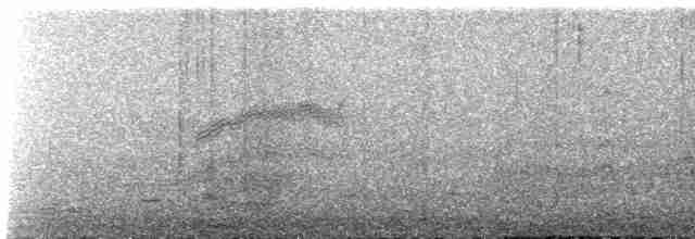 Vireo de Hutton (grupo stephensi) - ML611069948