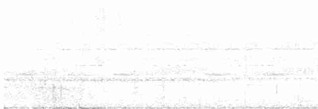 Schwarzgrau-Ameisenvogel - ML611071563